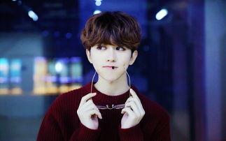 蔡徐坤白鹿八卦爆料视频,八卦视频揭秘明星幕后故事  第3张